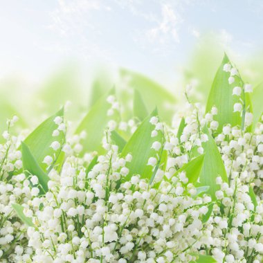 lilly of the valley posy clipart