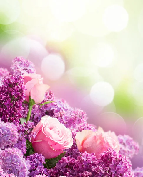 Lila ve gül çiçek — Stok fotoğraf