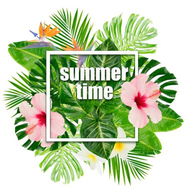 Tropik yeşil yapraklar