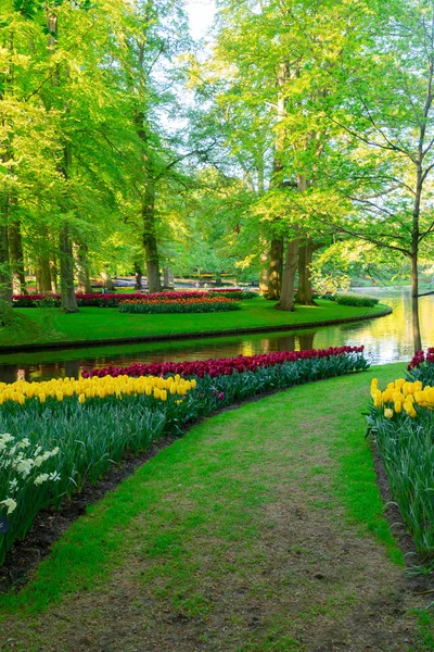 Uroczysty ogród wiosenny — Zdjęcie stockowe