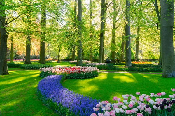Свежий газон с цветами — стоковое фото