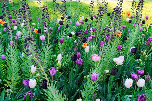 Čerstvý trávník s květinami — Stock fotografie