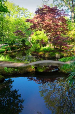 Lahey 'deki Japon Bahçesi
