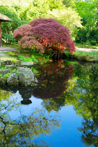 Japansk trädgård i Haag — Stockfoto