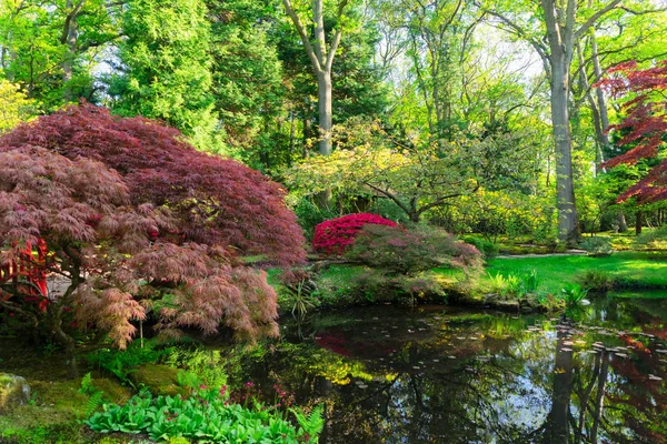 Japonská zahrada v Haagu — Stock fotografie