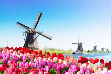 Hollanda yel değirmeni nehir suları üzerinde