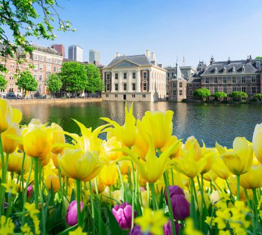 Hollanda, Den Haag şehir merkezi.