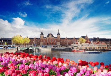 Amsterdam Cityscape geceleri