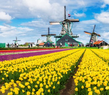 Hollanda rüzgar değirmenleri
