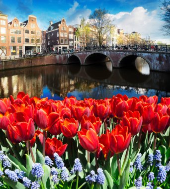 Hollanda, Amstardam 'ın Evleri