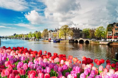 Amstel Kanalı, Amsterdam