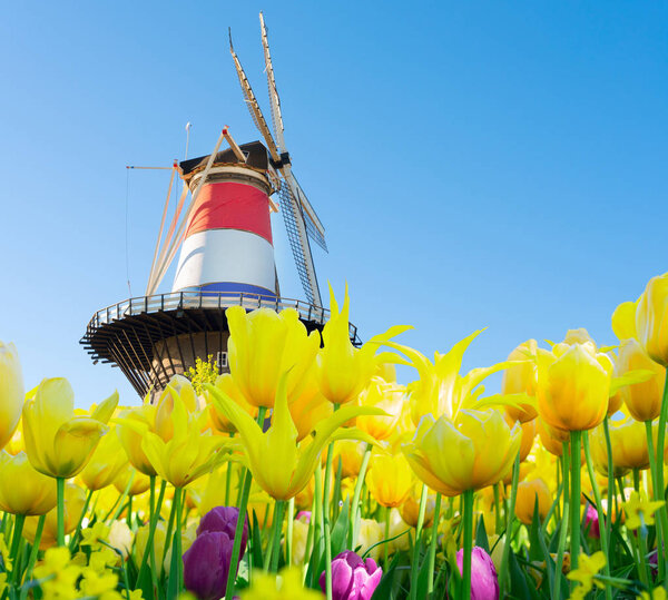 Лейденская мельница