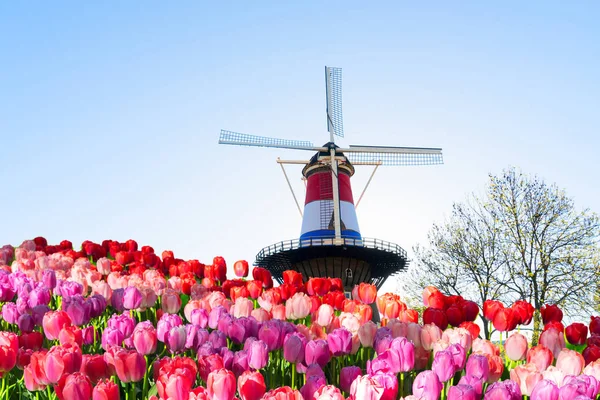 Windmill of Leiden — Stock Photo, Image