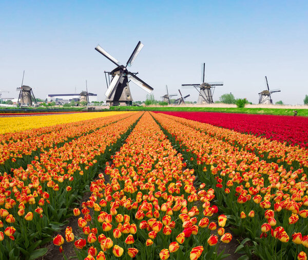 ветряная мельница над речными водами