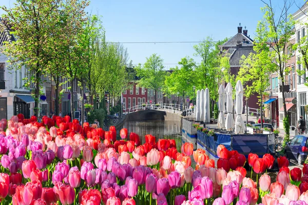 De oude stad Delft in Holland — Stockfoto