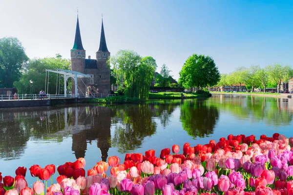 Oosrpoort kapu Delft, Hollandia — Stock Fotó