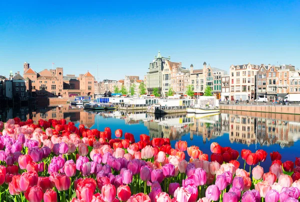 Будинки Амстердама (Нідерланди). — стокове фото