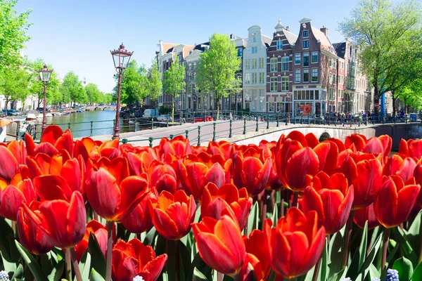 Huizen van Amstardam, Nederland — Stockfoto