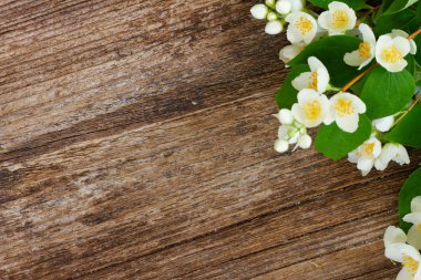 Sahte turuncu çiçekler