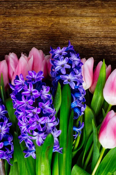 Hyacinty a tulipány — Stock fotografie