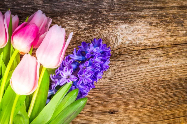 Hyacinty a tulipány — Stock fotografie