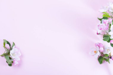 Bahar ağacı çiçekleri