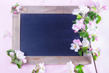 Bahar ağacı çiçekleri