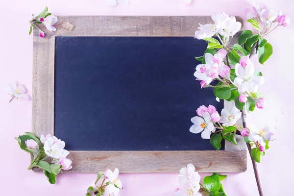 Bahar ağacı çiçekleri