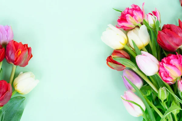 Fresh tulips flowers — Stock Photo, Image