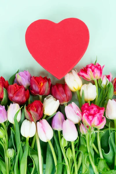 Fresh tulips flowers with heart — Stock Photo, Image