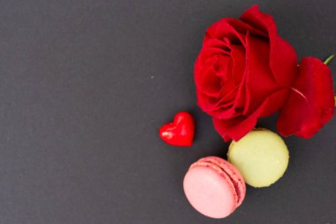 Siyah arkaplanda kırmızı güller