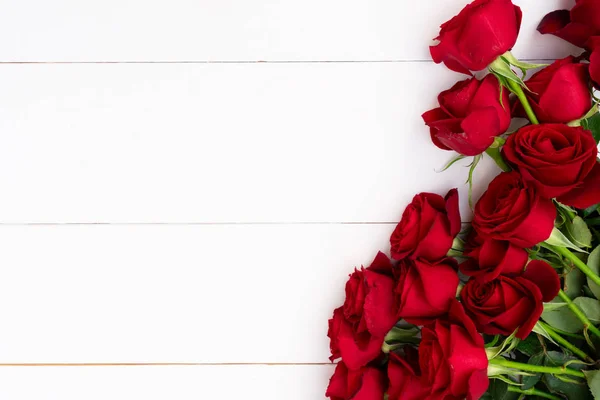 白い背景の赤いバラ — ストック写真