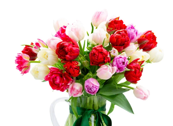 Friss tulipán virágok — Stock Fotó