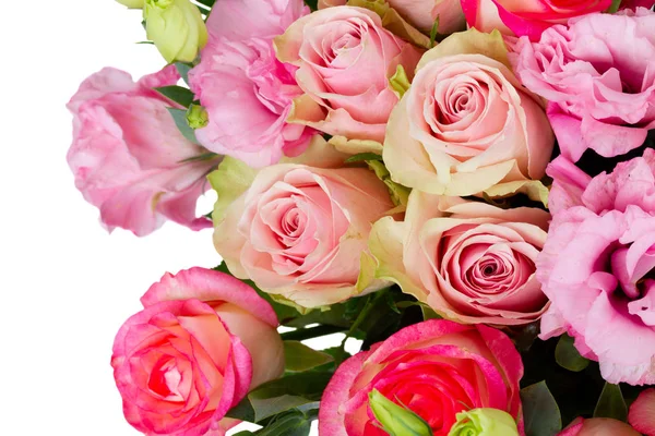 Flores de rosa frescas — Foto de Stock