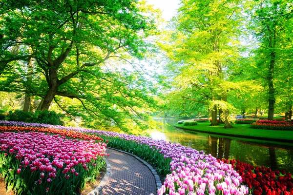 Gramado fresco com flores — Fotografia de Stock