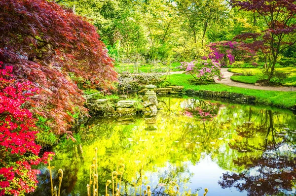 Japanese garden in The Hague — Stock Photo, Image