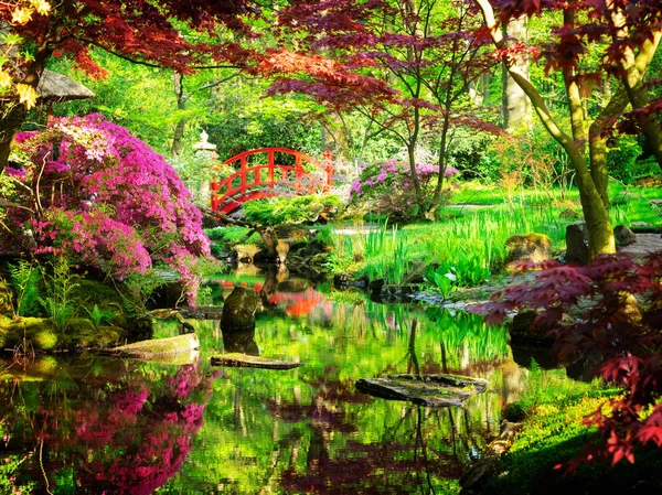 Jardín japonés en La Haya — Foto de Stock