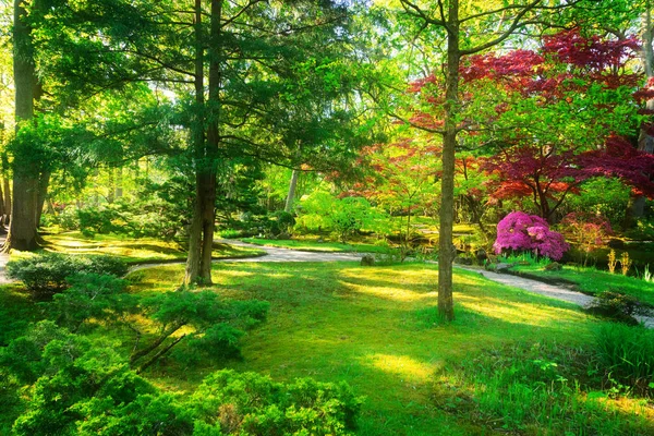 Ogród Japoński w Hadze — Zdjęcie stockowe