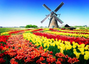 Hollanda yel değirmeni nehir suları üzerinde