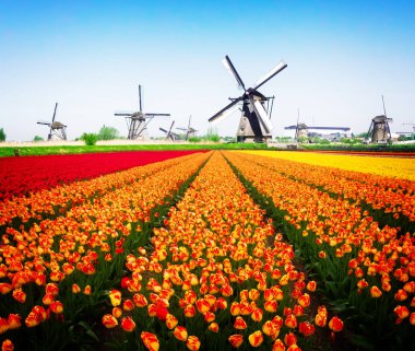 Hollanda yel değirmeni nehir suları üzerinde