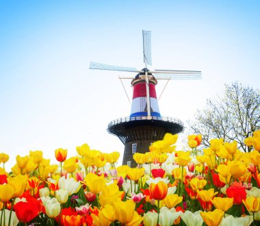 Hollanda rüzgar değirmenleri