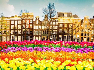 Hollanda, Amstardam 'ın Evleri