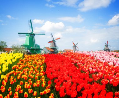 zaanse Schans'a görünümünü