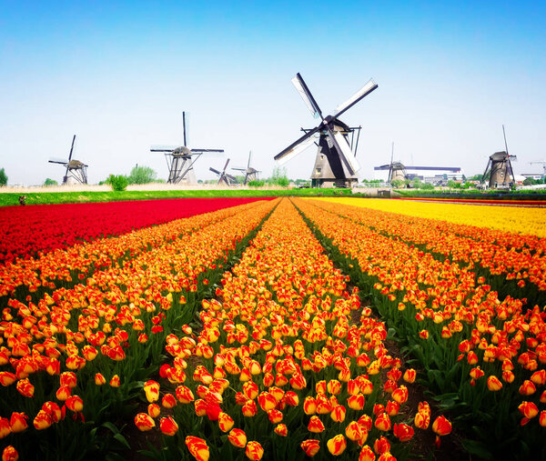 ветряная мельница над речными водами