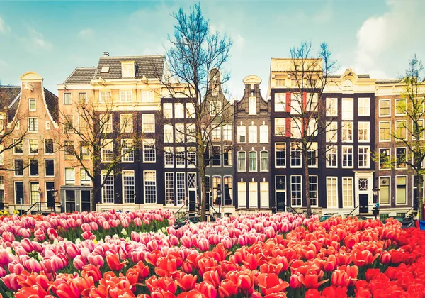 Houses of Amsterdam, Netherlands — Stock Photo, Image