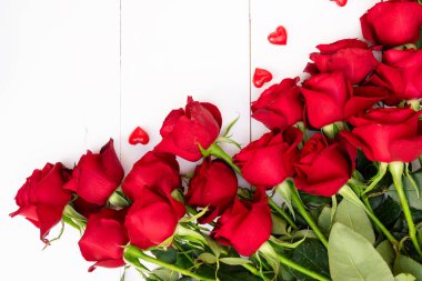 Beyaz arkaplanda kırmızı güller