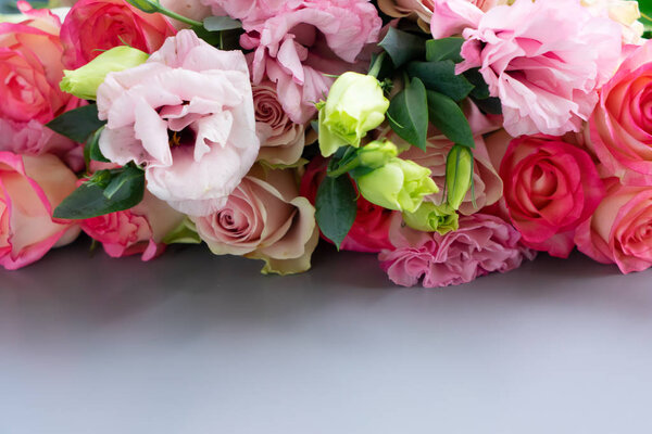 fresh rose flowers on gray