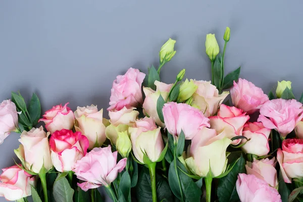 Čerstvé růžové květy na šedé — Stock fotografie