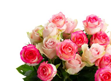 taze gül çiçekleri