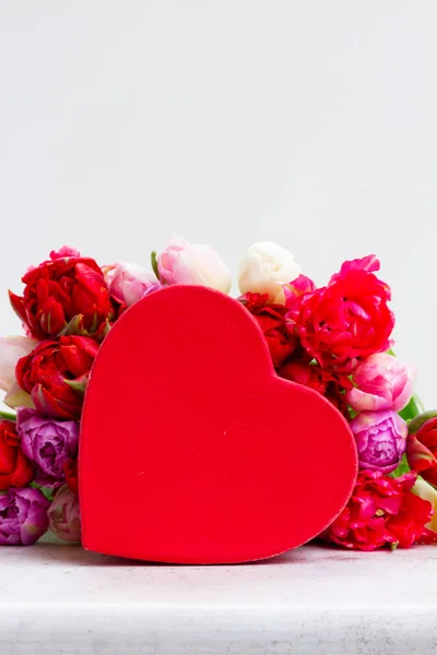 Färska tulpaner blommor med hjärta — Stockfoto